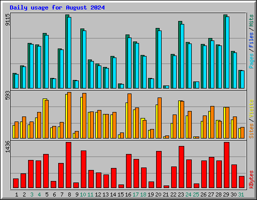 Daily usage for August 2024