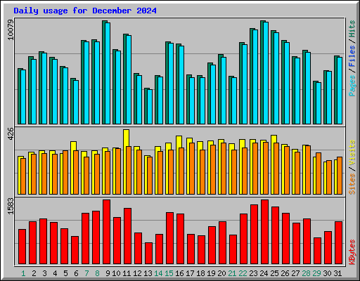 Daily usage for December 2024