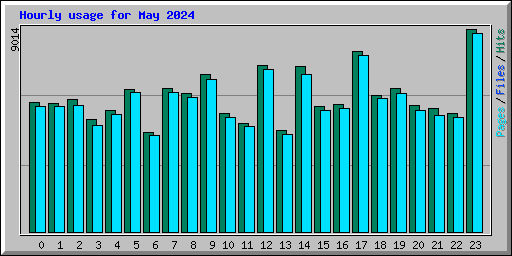 Hourly usage for May 2024
