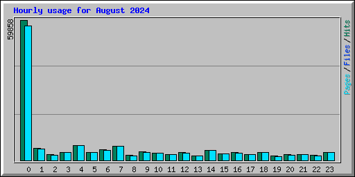 Hourly usage for August 2024