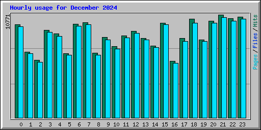Hourly usage for December 2024