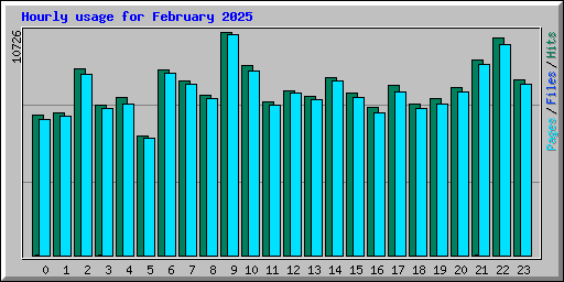 Hourly usage for February 2025