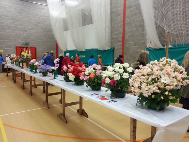 St Bees Flower Show