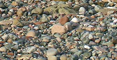 Beach stones